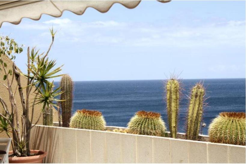 Radazul Apartamento Frente Al Mar מראה חיצוני תמונה